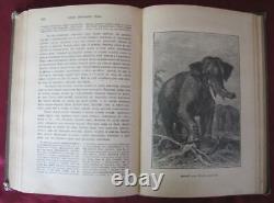 1902 IMPERIAL RUSSIA BOOK A. BREHM LIFE OF ANIMALS with230 PICTURES VERY RARE