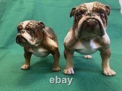 2 VTG Very Rare Royal Doulton Bulldog Standing HN 1045 & HN 1046