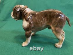 2 VTG Very Rare Royal Doulton Bulldog Standing HN 1045 & HN 1046