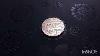 50 000 Do You Have One Very Rare Coin British Royal Mint Great Britain 10 Pence 2013