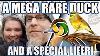 A Mega Rae Duck U0026 A Special Lifer