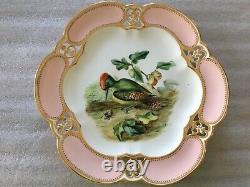 Antique Rare & Very Fine Royal Crown Derby Porcelain Gorgeous Bird Cabinet Plate