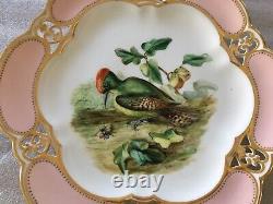 Antique Rare & Very Fine Royal Crown Derby Porcelain Gorgeous Bird Cabinet Plate