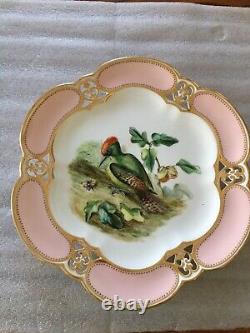 Antique Rare & Very Fine Royal Crown Derby Porcelain Gorgeous Bird Cabinet Plate