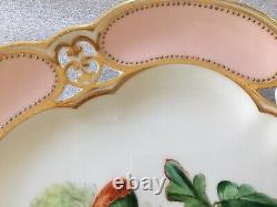 Antique Rare & Very Fine Royal Crown Derby Porcelain Gorgeous Bird Cabinet Plate