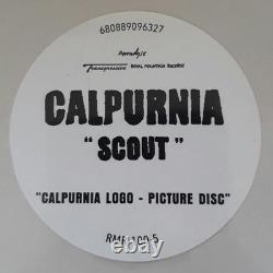 Calpurnia Scout Finn Wolfhard EP Record Very Rare Logo Picture Disc Vinyl Album