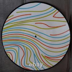 Calpurnia Scout Finn Wolfhard EP Record Very Rare Logo Picture Disc Vinyl Album