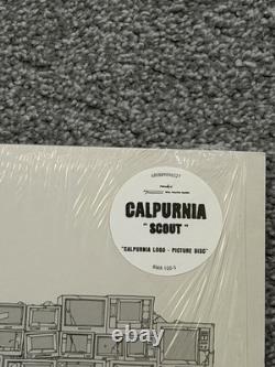 Calpurnia Scout Finn Wolfhard EP Record Very Rare Logo Picture Disc Vinyl Album