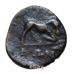 Cilicia, Adana. Ae 16, 164bc-imperial Times. Demeter/ Horse. Very Rare