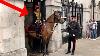 Extremely Rare Royal Artillery Regiment Guard With Nervous Horses For The First Time This Year