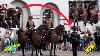 Extremely Rare Royal Artillery Regiment S Guard Changing Of The Guards Uncomfortable Horse