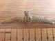 Genuine Royal Flying Corps Pilot's Gilt Dress Wing 1912-1916 Very Rare
