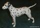 Large 8 Dalmatian Dog Arnoldene Royal Doulton England Very Rare Collectible