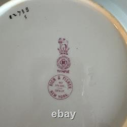 ROYAL Doulton TEMPLE PINK 9 Salad Plates Set Of 4 RARE Very Hard To Find PINK