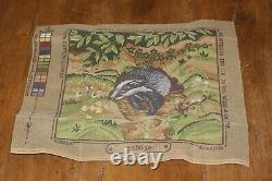 ROYAL SCHOOL OF NEEDLEWORK Badger RSN very rare NEEDLEPOINT TAPESTRY KIT