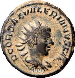 RRR Saloninus Very Rare Caesar A. D. 255-259. AR Antoninianus Roman Coin withCOA