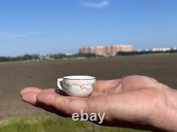 Rare Very Beautiful Mini Cup Gardner Porcelain Factory, 1770-1780s