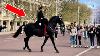 Royal Boss Surprise Rides His Most Beautiful Horse Down The Mall