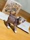 Royal Copenhagen Cat Figurine Rare Figurine Good Condition Very Popular