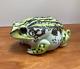 Royal Copenhagen Figurine of Toad No. 494/3443 by Jeanne Grut, Very Rare