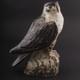 Royal Copenhagen, Knud Kyhn. Large Hawk # 21407. DENMARK. VERY RARE