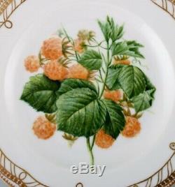 Royal Copenhagen. Ten very rare hand painted Flora Danica fruit plates. Ca 1910