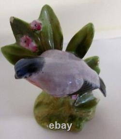 Royal Doulton Bird Bullfinch K 31 A Very Rare Porcelain Item Brinkman Estate