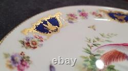 Royal Doulton Plate Signed E Percy- VERY RARE- Stunning