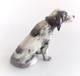 Royal Doulton Seated English Setter with Collar 6.5 HN975 1929 Very Rare VTG