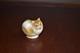 Royal Doulton Very Rare Dog Pomeranian HN 838