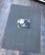 The Royal Photographic Society. Pictures from the Tyng Collection. Very Rare