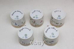 Used Royal Copenhagen Flora Danica Cup And Saucer Set Of 5 Very Rare Item