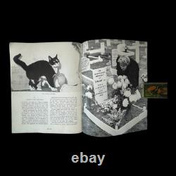 VERY RARE Simon The Cat (HMS Amethyst) Royal Navy, Yangtse Incident, WWII, China