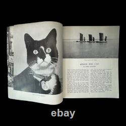 VERY RARE Simon The Cat (HMS Amethyst) Royal Navy, Yangtse Incident, WWII, China