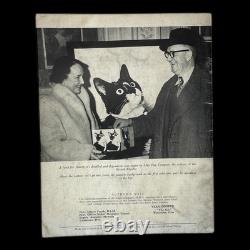 VERY RARE Simon The Cat (HMS Amethyst) Royal Navy, Yangtse Incident, WWII, China