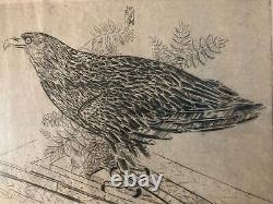 Very Beautiful Engraving Joseph Hecht Royal Eagle Art Animal Rare 1928 Antique