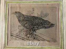 Very Beautiful Engraving Joseph Hecht Royal Eagle Art Animal Rare 1928 Antique
