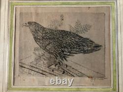 Very Beautiful Engraving Joseph Hecht Royal Eagle Art Animal Rare 1928 Antique