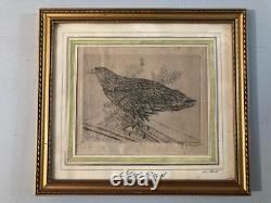 Very Beautiful Engraving Joseph Hecht Royal Eagle Art Animal Rare 1928 Antique