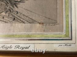 Very Beautiful Engraving Joseph Hecht Royal Eagle Art Animal Rare 1928 Antique