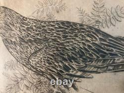 Very Beautiful Engraving Joseph Hecht Royal Eagle Art Animal Rare 1928 Antique