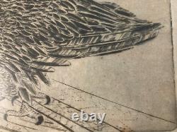 Very Beautiful Engraving Joseph Hecht Royal Eagle Art Animal Rare 1928 Antique