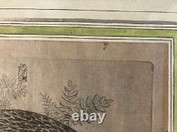 Very Beautiful Engraving Joseph Hecht Royal Eagle Art Animal Rare 1928 Antique