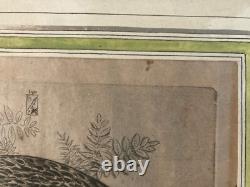 Very Beautiful Engraving Joseph Hecht Royal Eagle Art Animal Rare 1928 Antique