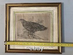 Very Beautiful Engraving Joseph Hecht Royal Eagle Art Animal Rare 1928 Antique