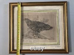 Very Beautiful Engraving Joseph Hecht Royal Eagle Art Animal Rare 1928 Antique