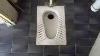 Very Rare 1983 Royal Doulton Squatting Toilet On A Flushometer