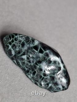 Very Rare Copper Prehnite Isle Royale Greenstone Turtleback Gem Chlorastrolite