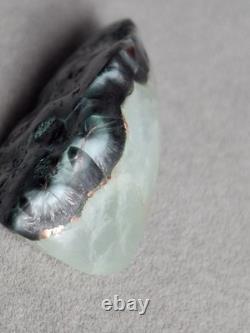 Very Rare Copper Prehnite Isle Royale Greenstone Turtleback Gem Chlorastrolite