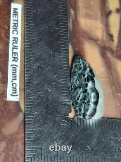 Very Rare Copper Prehnite Isle Royale Greenstone Turtleback Gem Chlorastrolite